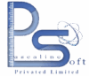 PascalineSoft